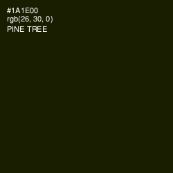 #1A1E00 - Pine Tree Color Image